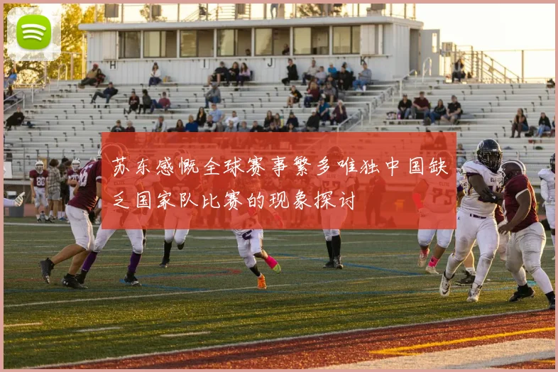 苏东感慨全球赛事繁多唯独中国缺乏国家队比赛的现象探讨