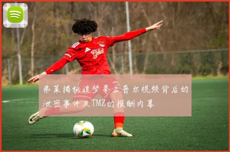 弗莱揭秘追梦拳击普尔视频背后的泄密事件及TMZ的报酬内幕